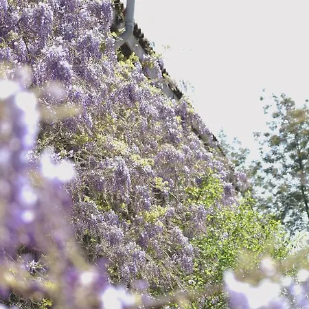 Le Hibou @ Le Prielle