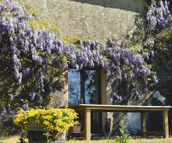 Le Hibou @ Le Prielle