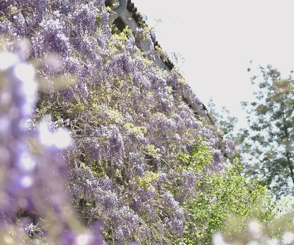 Le Hibou @ Le Prielle